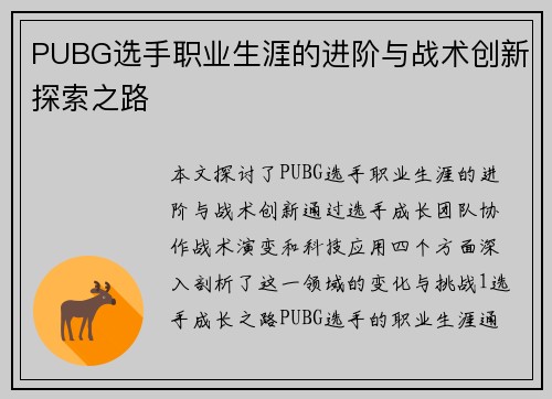 PUBG选手职业生涯的进阶与战术创新探索之路