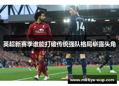 英超新赛季谁能打破传统强队格局崭露头角