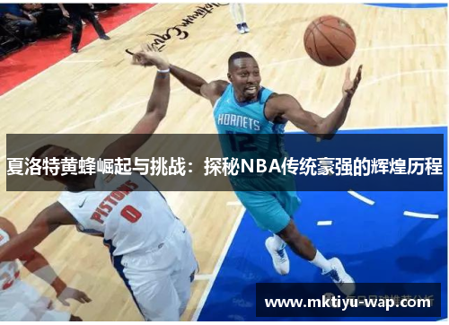 夏洛特黄蜂崛起与挑战：探秘NBA传统豪强的辉煌历程