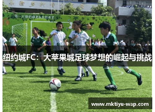 纽约城FC：大苹果城足球梦想的崛起与挑战