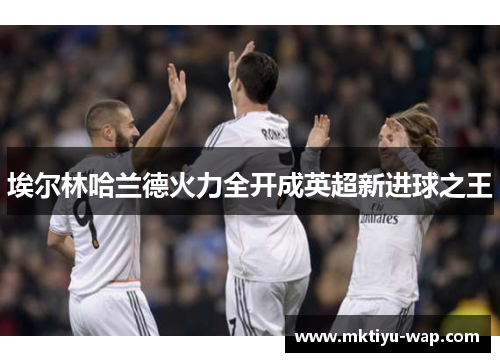 埃尔林哈兰德火力全开成英超新进球之王
