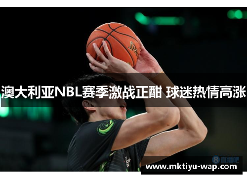 澳大利亚NBL赛季激战正酣 球迷热情高涨