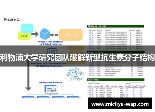 利物浦大学研究团队破解新型抗生素分子结构